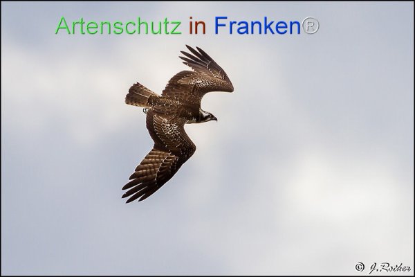 Copyright AiF Johannes Rother Bild zum Eintrag (78412-160)