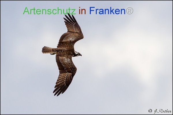 Copyright AiF Johannes Rother Bild zum Eintrag (78413-160)
