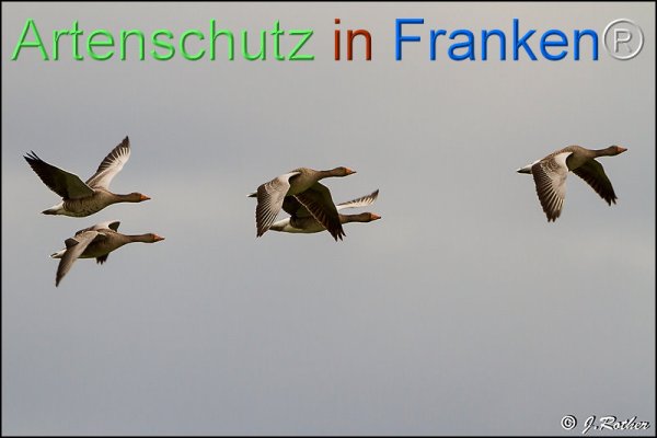 Copyright AiF Johannes Rother Bild zum Eintrag (78430-160)
