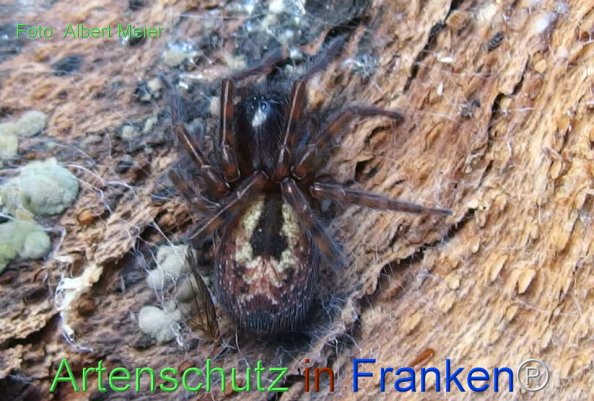 Bild zum Eintrag (78468-160)
