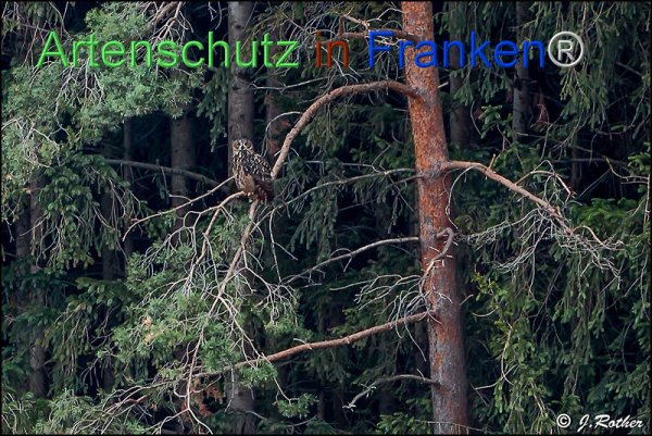Copyright AiF Johannes Rother Bild zum Eintrag (78506-160)