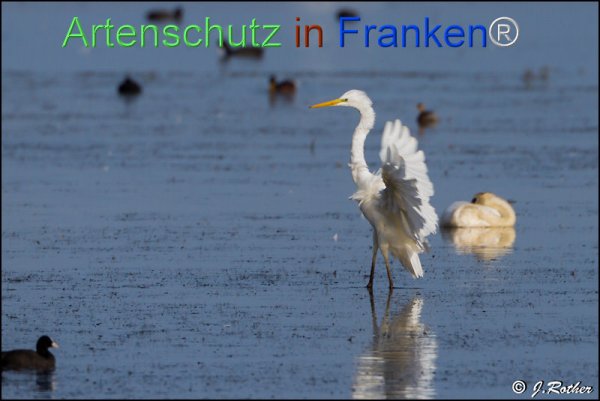 Copyright AiF Johannes Rother Bild zum Eintrag (78560-160)
