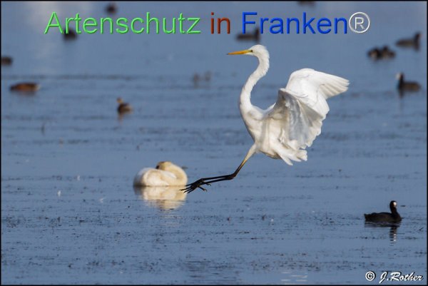 Copyright AiF Johannes Rother Bild zum Eintrag (78561-160)