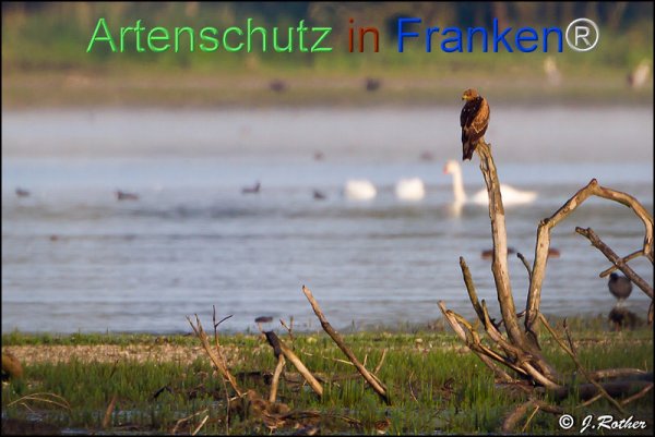 Copyright AiF Johannes Rother Bild zum Eintrag (78567-160)