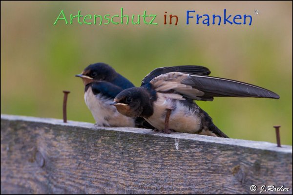 Copyright AiF Johannes Rother Bild zum Eintrag (78622-160)