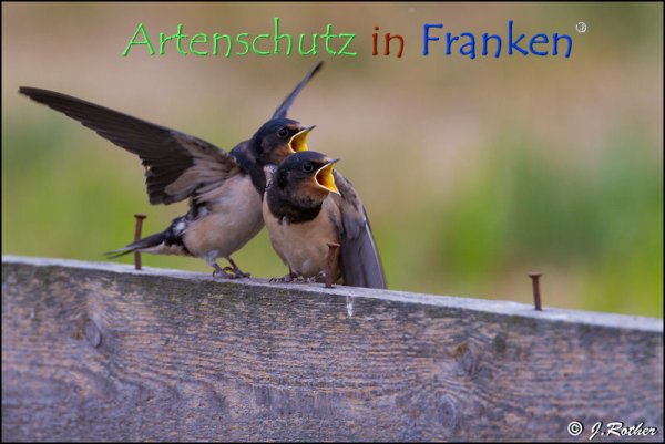 Copyright AiF Johannes Rother Bild zum Eintrag (78623-160)