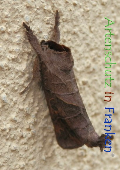 Copyright AiF - Albert Meier Bild zum Eintrag (78720-160)