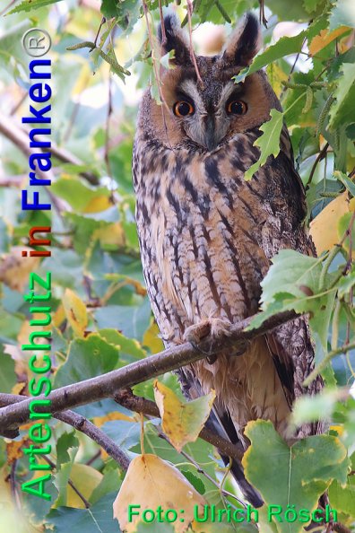 Copyright AiF Ulrich Rösch Bild zum Eintrag (80169-160)
