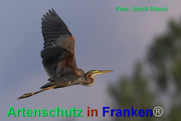 Copyright AiF Ulrich Rösch Bild zum Eintrag (80404-160)