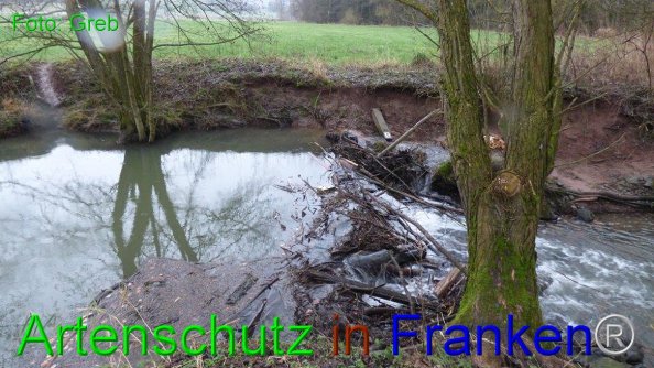 Bild zum Eintrag (80544-160)