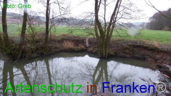 Bild zum Eintrag (80545-160)