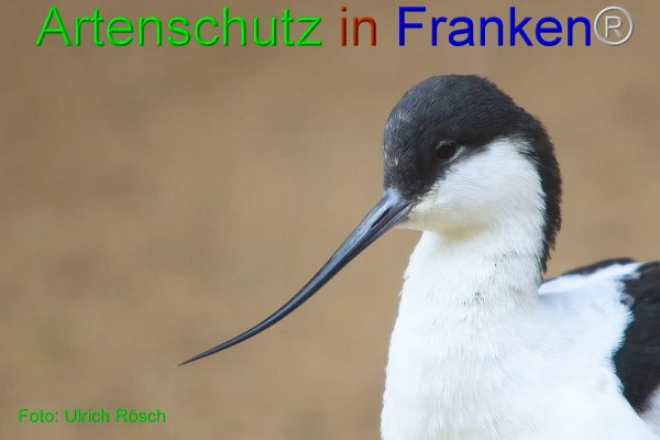 Copyright AiF Ulrich Rösch Bild zum Eintrag (80563-160)