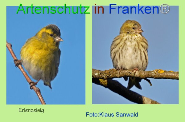 Copyright AiF - Klaus Sanwald Bild zum Eintrag (80660-160)