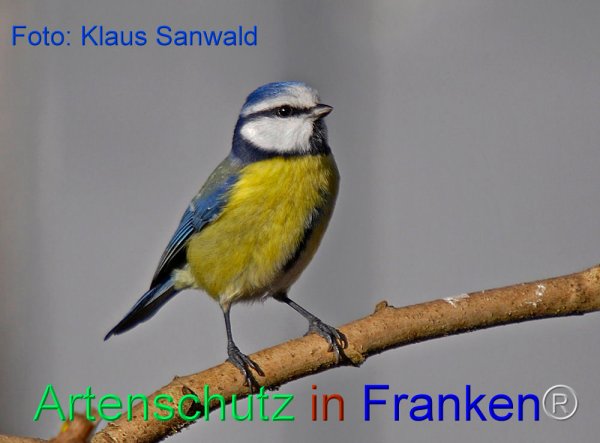Copyright AiF - Klaus Sanwald Bild zum Eintrag (80989-160)