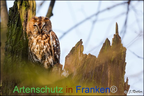 Copyright AiF Johannes Rother Bild zum Eintrag (81066-160)