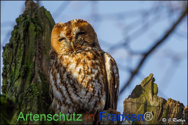 Copyright AiF Johannes Rother Bild zum Eintrag (81067-160)