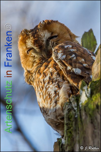 Copyright AiF Johannes Rother Bild zum Eintrag (81070-160)