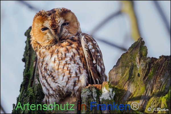 Copyright AiF Johannes Rother Bild zum Eintrag (81071-160)