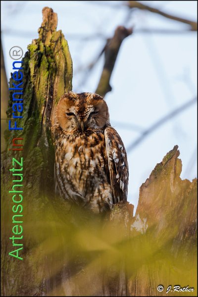 Copyright AiF Johannes Rother Bild zum Eintrag (81072-160)