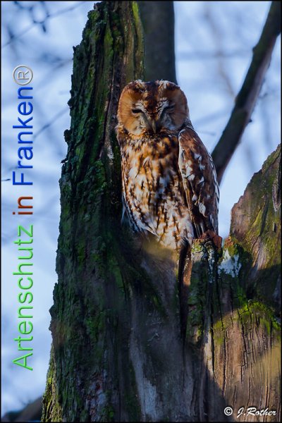 Copyright AiF Johannes Rother Bild zum Eintrag (81073-160)