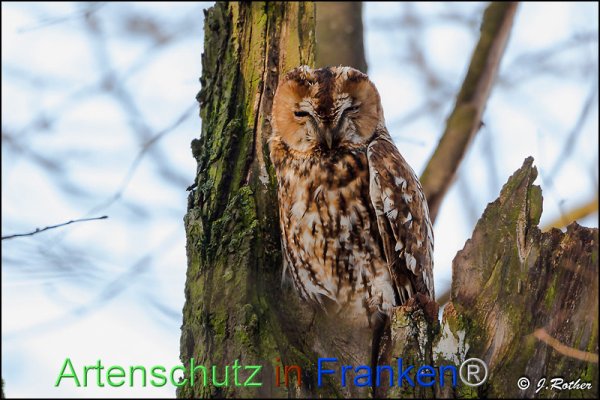Copyright AiF Johannes Rother Bild zum Eintrag (81074-160)