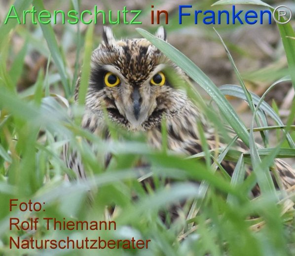 Copyright AiF-Rolf Thiemann Bild zum Eintrag (81092-160)