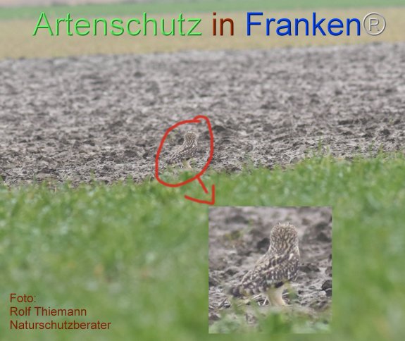 Copyright AiF-Rolf Thiemann Bild zum Eintrag (81093-160)