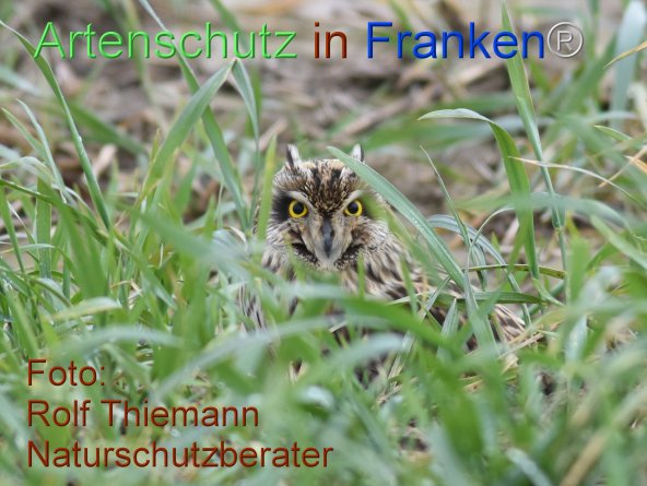 Copyright AiF Rolf Thiemann Bild zum Eintrag (81099-160)