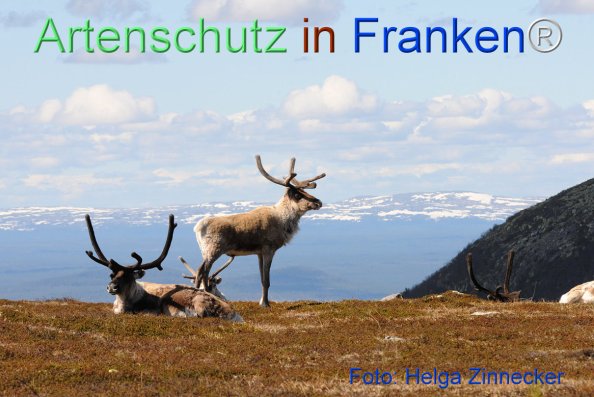 Copyright AiF - Helga Zinnecker Bild zum Eintrag (81179-160)