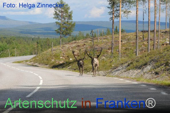 Copyright AiF - Helga Zinnecker Bild zum Eintrag (81182-160)
