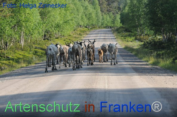 Copyright AiF - Helga Zinnecker Bild zum Eintrag (81183-160)