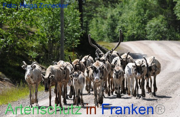 Copyright AiF - Helga Zinnecker Bild zum Eintrag (81184-160)