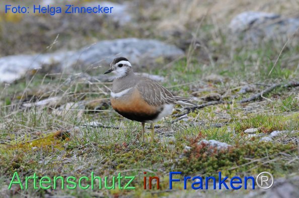 Copyright AiF - Helga Zinnecker Bild zum Eintrag (81204-160)