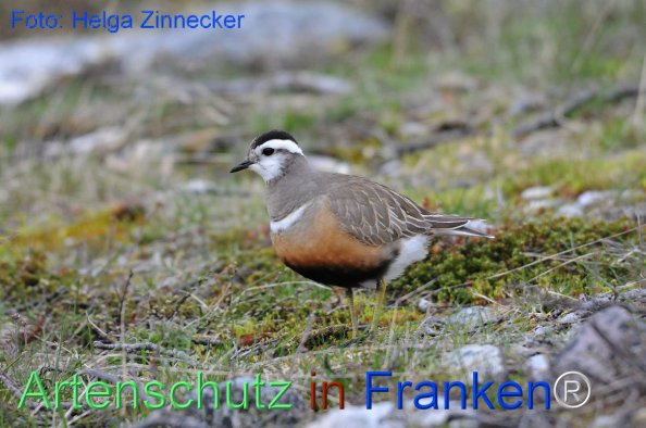 Copyright AiF - Helga Zinnecker Bild zum Eintrag (81222-160)