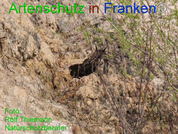 Copyright AiF Rolf Thiemann Bild zum Eintrag (81378-160)
