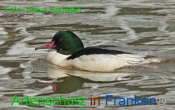 Copyright AiF - Klaus Sanwald Bild zum Eintrag (81403-160)