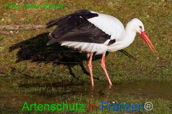 Copyright AiF Ulrich Rösch Bild zum Eintrag (81405-160)