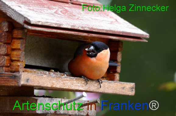 Copyright AiF - Helga Zinnecker Bild zum Eintrag (81422-160)
