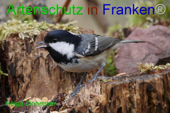 Copyright AiF - Helga Zinnecker Bild zum Eintrag (81480-160)