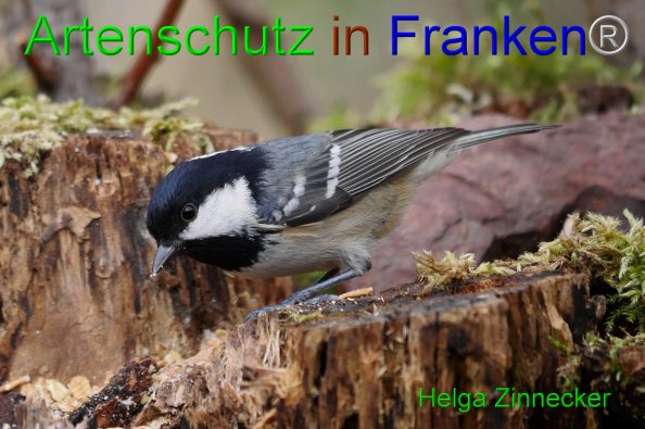 Copyright AiF - Helga Zinnecker Bild zum Eintrag (81481-160)
