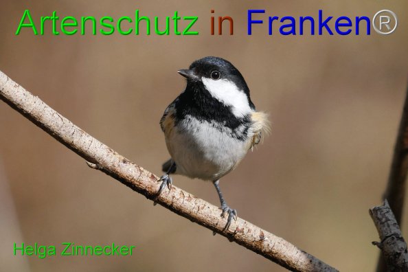 Copyright AiF - Helga Zinnecker Bild zum Eintrag (81482-160)