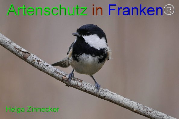 Copyright AiF - Helga Zinnecker Bild zum Eintrag (81483-160)