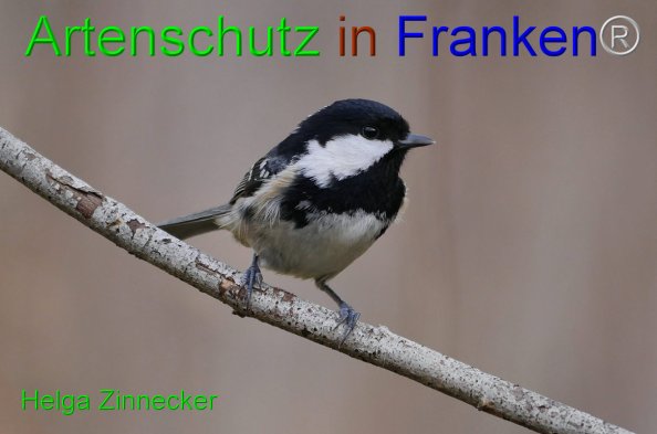 Copyright AiF - Helga Zinnecker Bild zum Eintrag (81484-160)