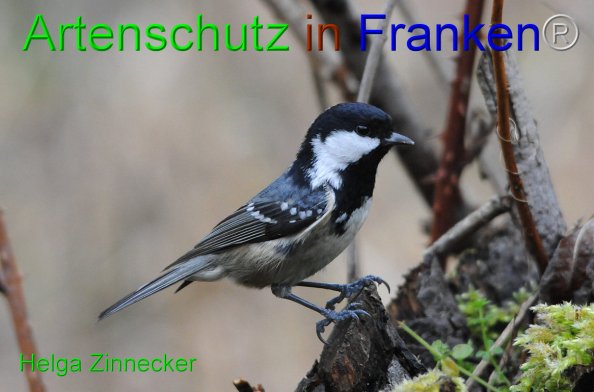 Copyright AiF - Helga Zinnecker Bild zum Eintrag (81486-160)