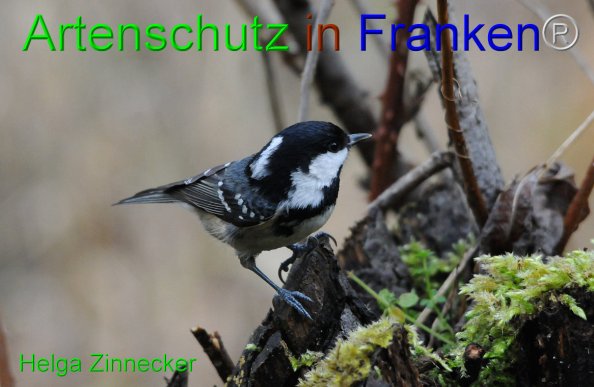 Copyright AiF - Helga Zinnecker Bild zum Eintrag (81487-160)