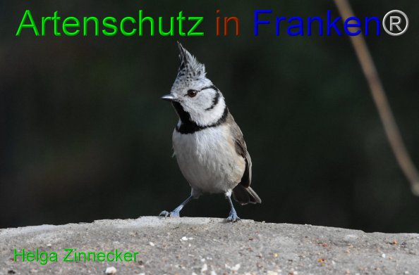 Copyright AiF - Helga Zinnecker Bild zum Eintrag (81490-160)
