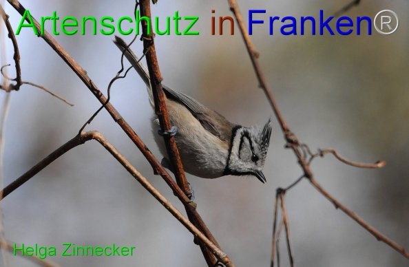 Copyright AiF - Helga Zinnecker Bild zum Eintrag (81491-160)