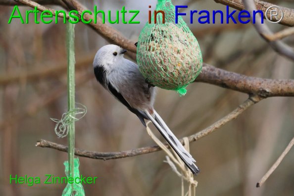 Copyright AiF - Helga Zinnecker Bild zum Eintrag (81499-160)