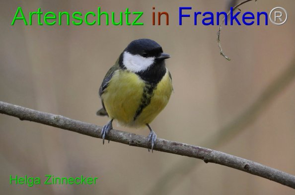 Copyright AiF - Helga Zinnecker Bild zum Eintrag (81505-160)