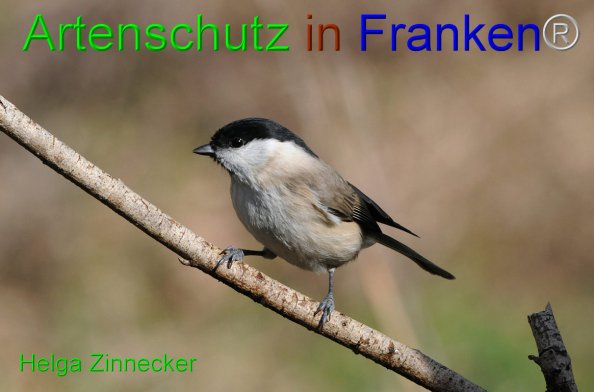 Copyright AiF - Helga Zinnecker Bild zum Eintrag (81508-160)